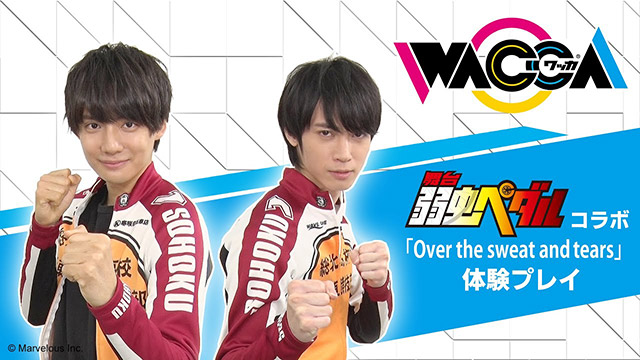 舞台『弱虫ペダル』×『WACCA』スペシャルムービー制作