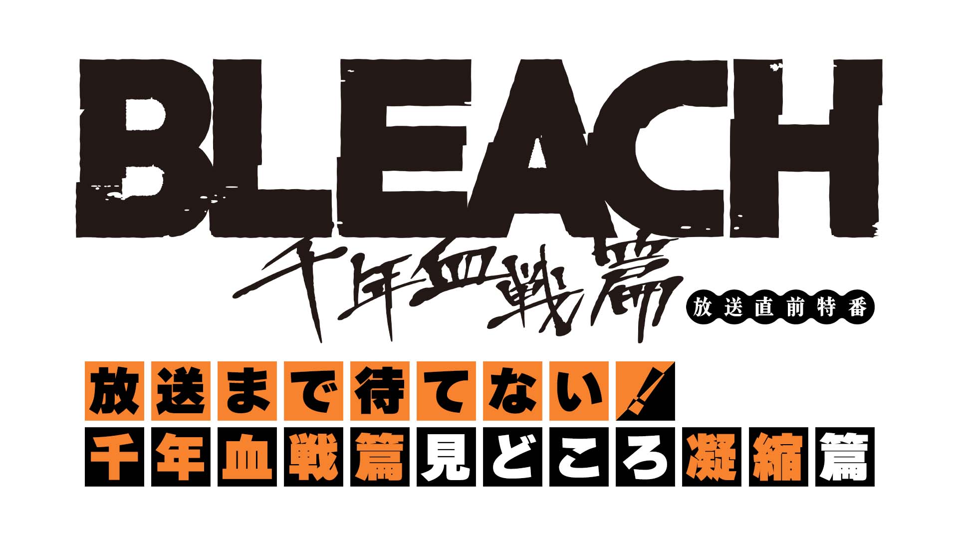 テレビ東京「BLEACH 千年血戦篇」放送直前特番 番組制作